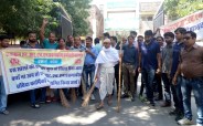 Rajasthan State Doctors Protest