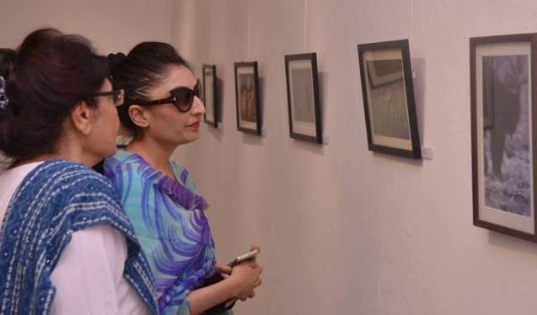 Wild Life in Kota, Wild Life Photo, Wild Life Exhibition In kota, Mukundara Hills Tiger Reserve, Kota Tourism, Hadouti Naturist Society, Kota Heritage Society, Rajasthan Patrika, Kota Patrika, Patrika News, Kota News