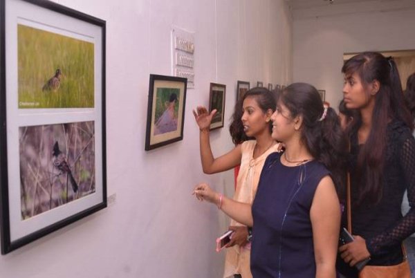 Wild Life in Kota, Wild Life Photo, Wild Life Exhibition In kota, Mukundara Hills Tiger Reserve, Kota Tourism, Hadouti Naturist Society, Kota Heritage Society, Rajasthan Patrika, Kota Patrika, Patrika News, Kota News