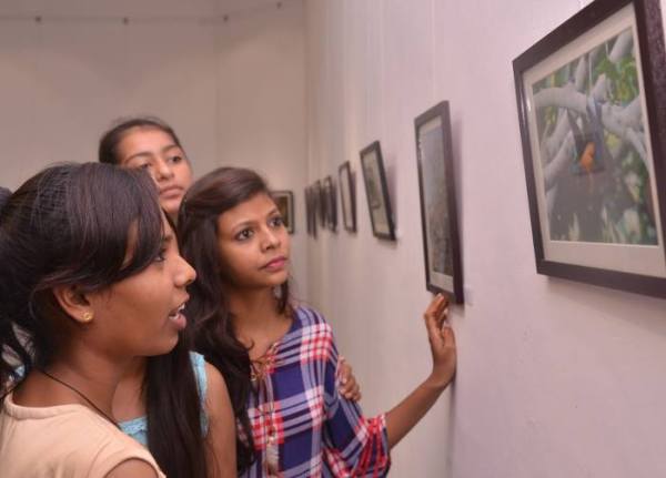 Wild Life in Kota, Wild Life Photo, Wild Life Exhibition In kota, Mukundara Hills Tiger Reserve, Kota Tourism, Hadouti Naturist Society, Kota Heritage Society, Rajasthan Patrika, Kota Patrika, Patrika News, Kota News