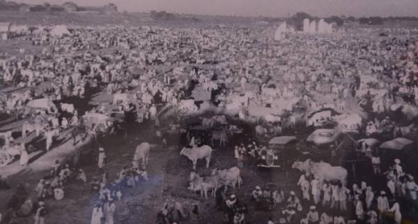 Wild Life in Kota, Wild Life Photo, Wild Life Exhibition In kota, Mukundara Hills Tiger Reserve, Kota Tourism, Hadouti Naturist Society, Kota Heritage Society, Rajasthan Patrika, Kota Patrika, Patrika News, Kota News