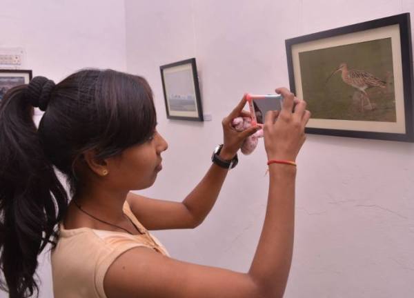 Wild Life in Kota, Wild Life Photo, Wild Life Exhibition In kota, Mukundara Hills Tiger Reserve, Kota Tourism, Hadouti Naturist Society, Kota Heritage Society, Rajasthan Patrika, Kota Patrika, Patrika News, Kota News