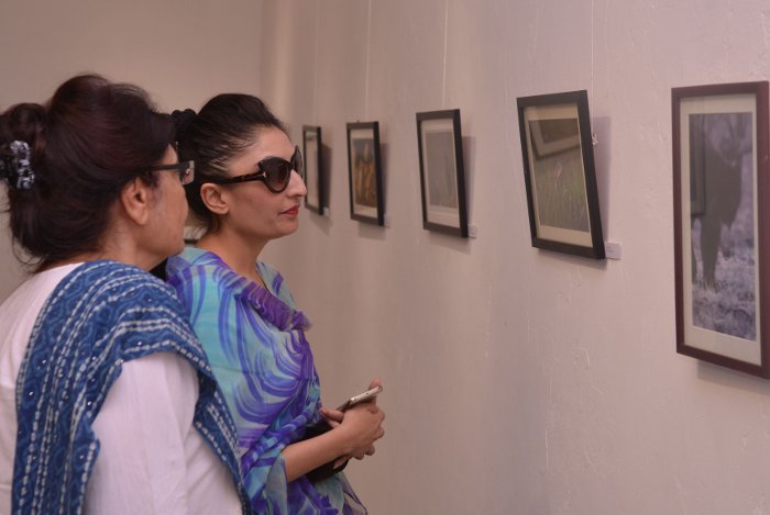 Wild Life in Kota, Wild Life Photo, Wild Life Exhibition In kota, Mukundara Hills Tiger Reserve, Kota Tourism, Hadouti Naturist Society, Kota Heritage Society, Rajasthan Patrika, Kota Patrika, Patrika News, Kota News