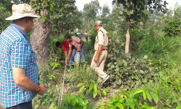 CCF in elephants effected forest