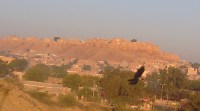 Jaisalmer patrika