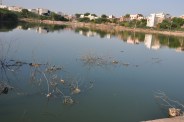 Nagaur news