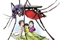 After Swine flu Dengue and malaria woes in the Rajasthan
