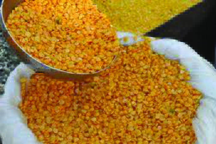 sriganganagar dhanmandi news