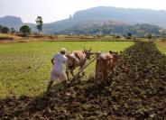 farmers