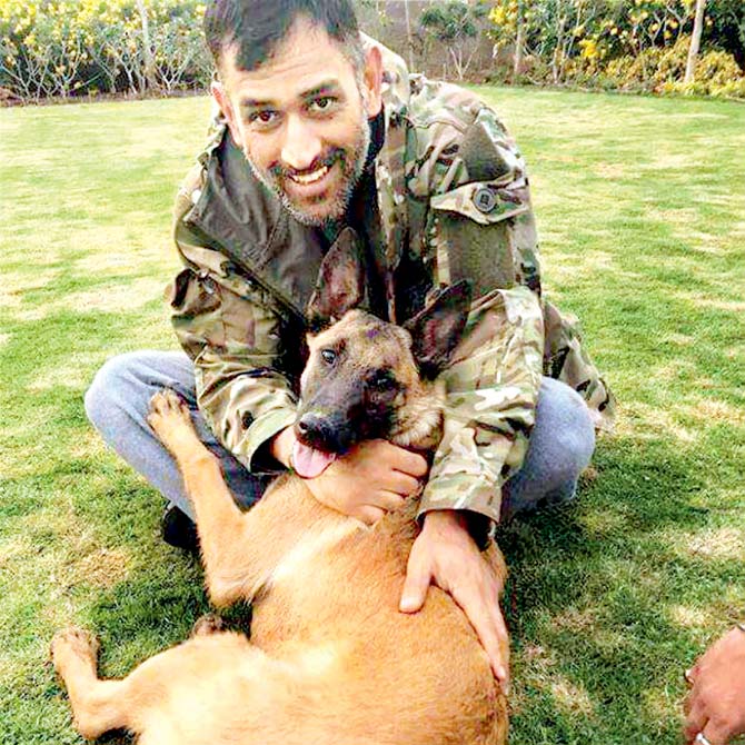 dhoni with his dogs