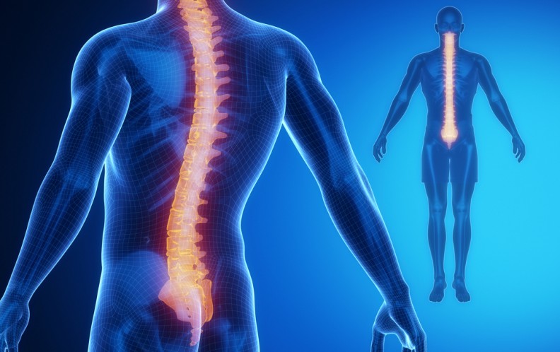 problem-of-urine-may-be-due-to-spinal-cord-injury