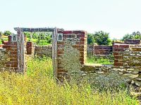 udaipur jhallara forest department news