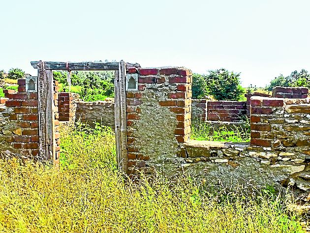 udaipur jhallara forest department news