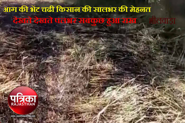 Bhilwara, Bhilwara News, Burned tide crop in bhilwara, Latest news in bhilwara, Bhilwara news in hindi, Latest hindi news in bhilwara