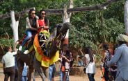 tourists in udaipur