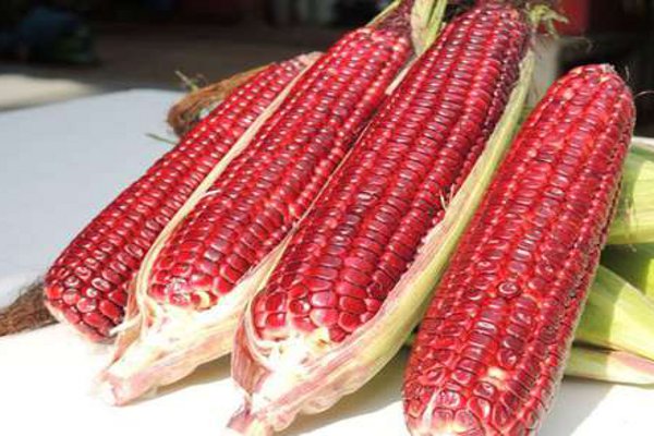 Formula for being young