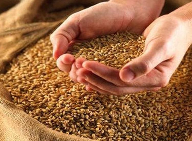 Ration distribution scam