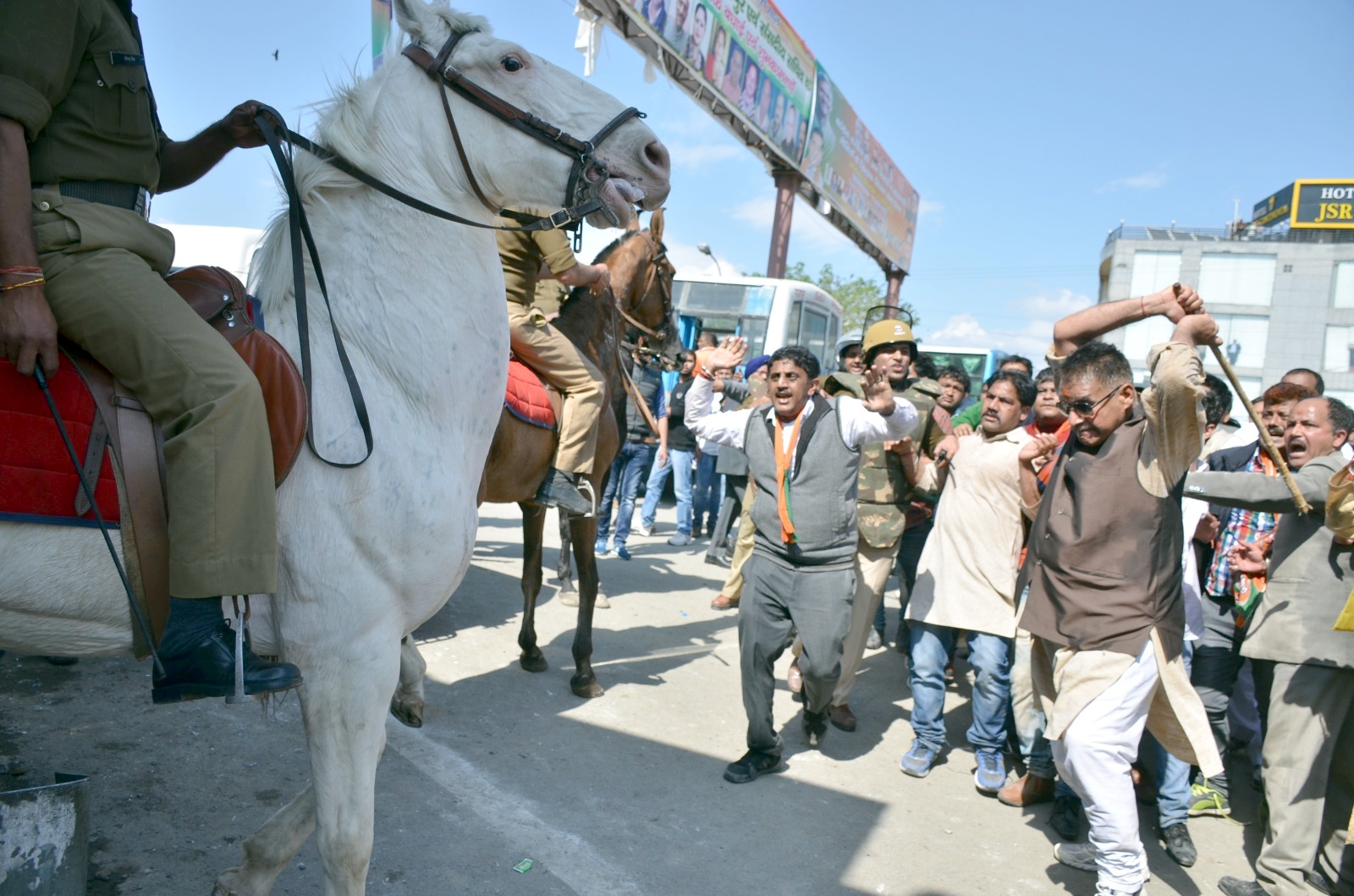 Horse
