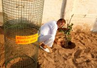 Prayag Chand Chandak