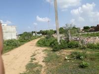 barren plots create problem in ajmers 