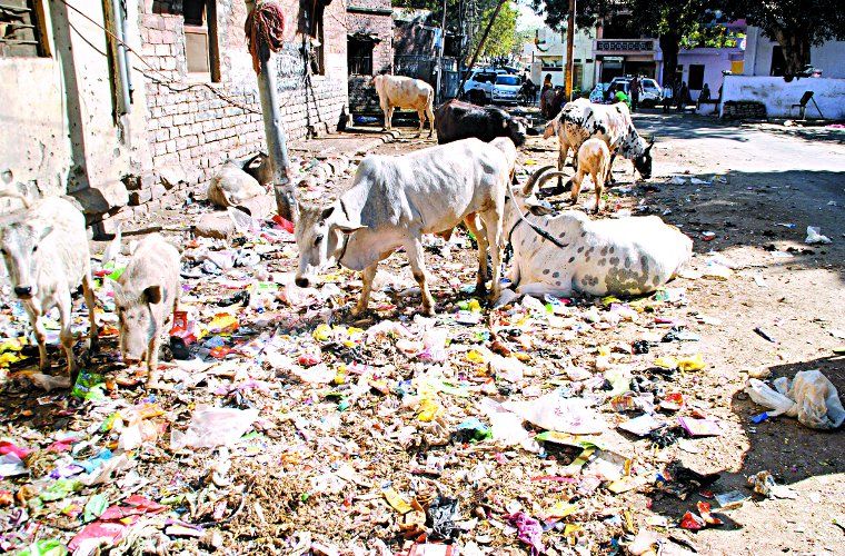 Municipal Corporation kota, MLA sandeep sharma, Mayor Mahesh Vijay, Mp om birla, UIT Kota, Rajasthan Patrika, Kota Patrika, Patrika News, Kota News