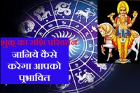 effects of shukra rashi parivartan