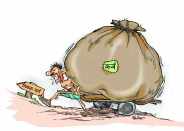 TAX IN SAGAR city