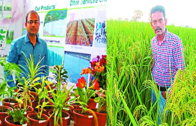 youth left the jobs of MNC became farmers and Entrepreneur,Example of becoming a youth farmer of the state, trade spread to many states,youth farmer of the state, trade spread to many states,jashpur farmar,farmar,farmar news,farmar day,farmar day date,date significance,farmar meaning,farmar karj mafi,farmar facing,farmar sad,mp farmar,Farmar Strike,policem farmar,farmar land,farmar protest,farmar death,farmar upset news,farmar ness,Suicide farmar,farmar  news,Farmar encompass,Entrepreneur,social