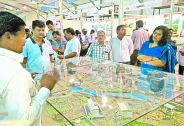 delwas sarpanch