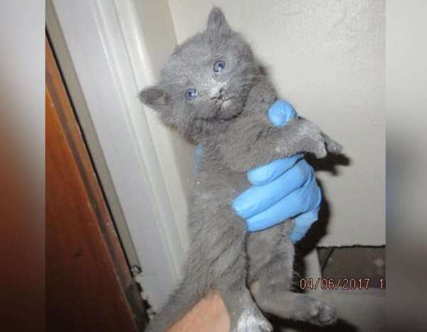  Shocking Thing Hidden