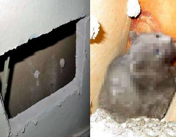  Shocking Thing Hidden