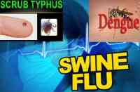 Seasonal Diseases Outbreaks