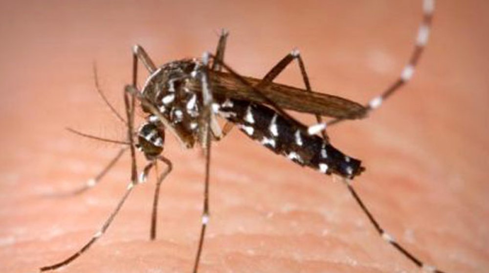 No need to panic on dengue: Central team