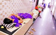 Dengue Outbreaks