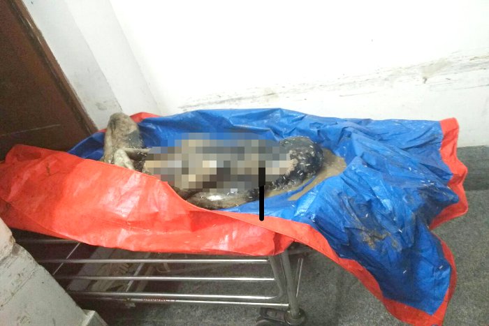 skywalk, death body, man body, death body in skywalk, skywalk in Raipur, Raipur police