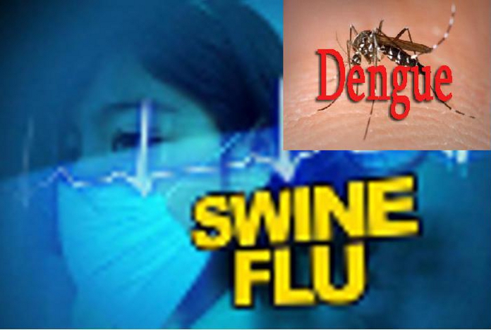 Swine Flu, Dengue, Medical Department,  Seasonal Diseases, Medical in Kota, Swine Flu in Kota, Dengue in Kota,  Kota News, Kota Patrika, Patrika News, Rajasthan Patrika, Sanitation, Municipal Kota] Dengue Epidemic, Dussehra Fair Closing