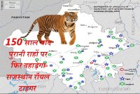 Tiger Corridor in Rajasthan, Tiger Corridor in India, Historical Tiger Corridor in india, Historical Tiger Corridor in Rajasthan, Tiger Corridor Dhaulpur to Kota, Kota To Dhaulpur Tiger Corridor, Mukundara Hills Tiger Reserve, Tota Tourism, Rajasthan Patrika, Kota Patrika 