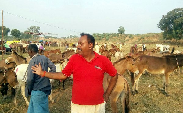 chitrakoot Gadha mela latest news in india