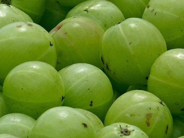 Benefits of Amla