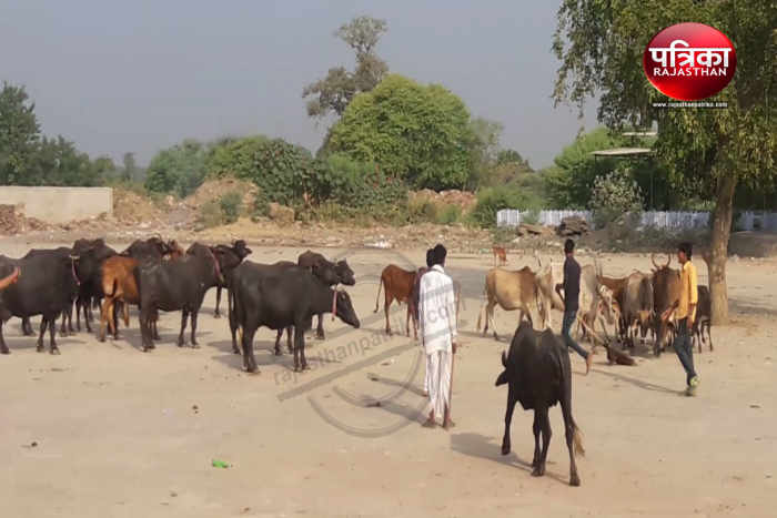 Bhilwara, bhilwara news, Diwali in india, Diwali in bhilwara, Unique tradition in bhilwara, Latest hindi news in bhilwara, Bhilwara Hindi news, Latest news in bhilwara