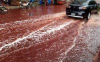 Blood on the Road