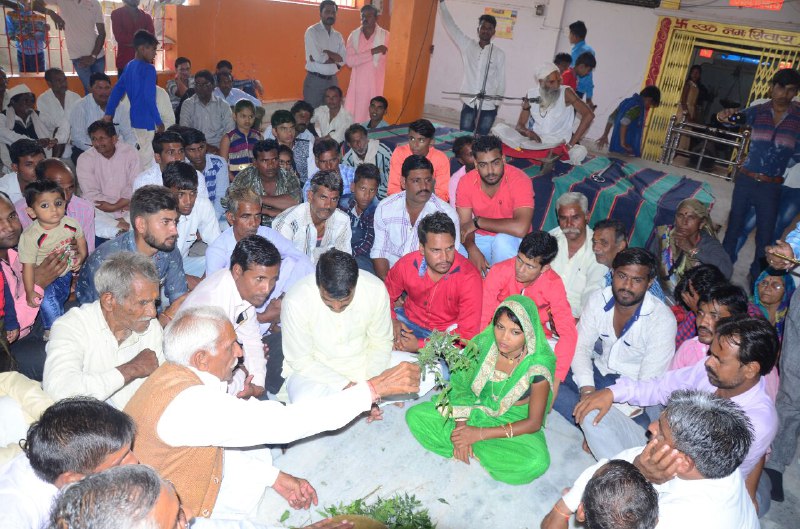 snake news, court news, naago ki adalat news, patrika news, sehore patrika news, snake,