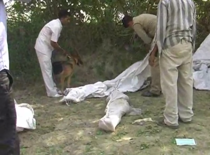 Woman rape and murder in Mahendra Nagar Colony Kanpur UP Hindi News