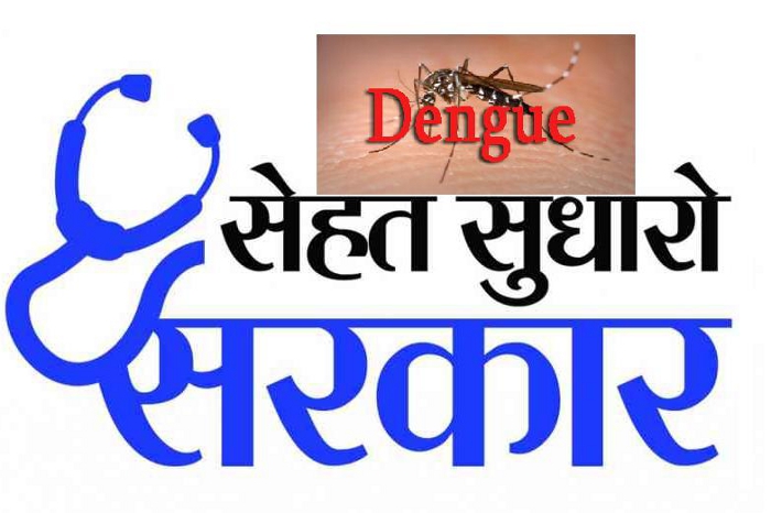 Dengue Epidemic in Kota