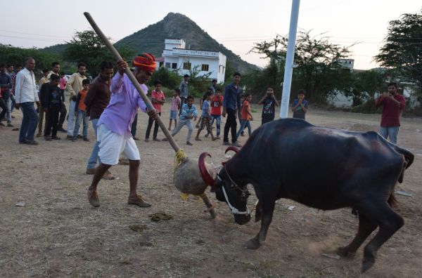 khekhra special images udaipur