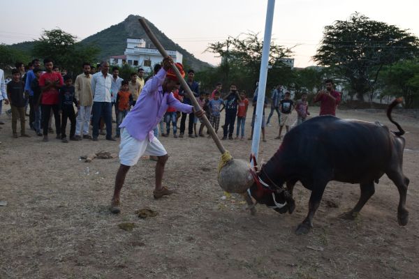 khekhra special images udaipur