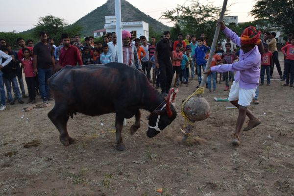 khekhra special images udaipur