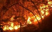 fire