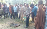 Villagers body in forest