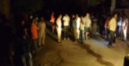 fir in jankyard